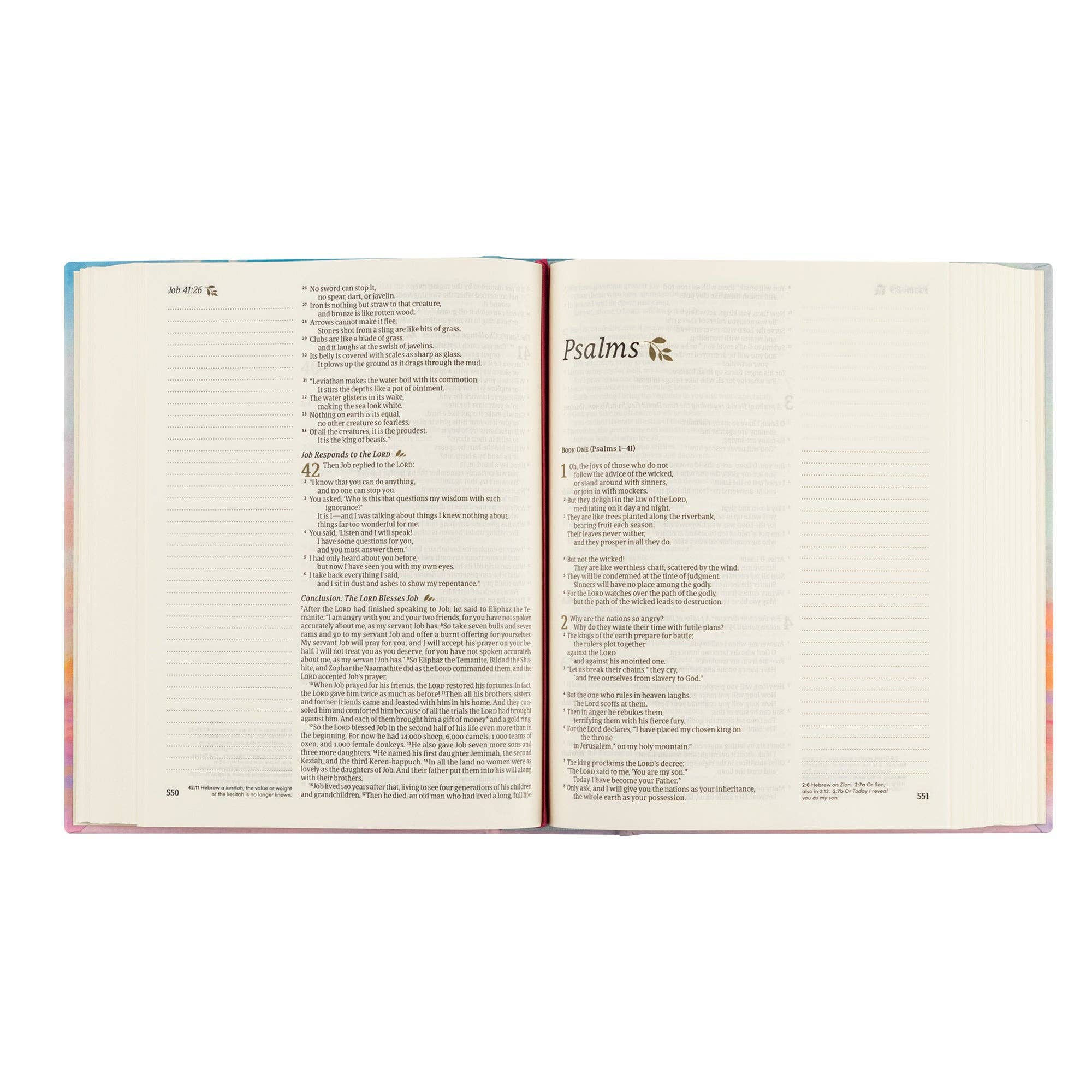 Hosanna Revival NLT Notetaking Bible: Rosemary Beach Theme