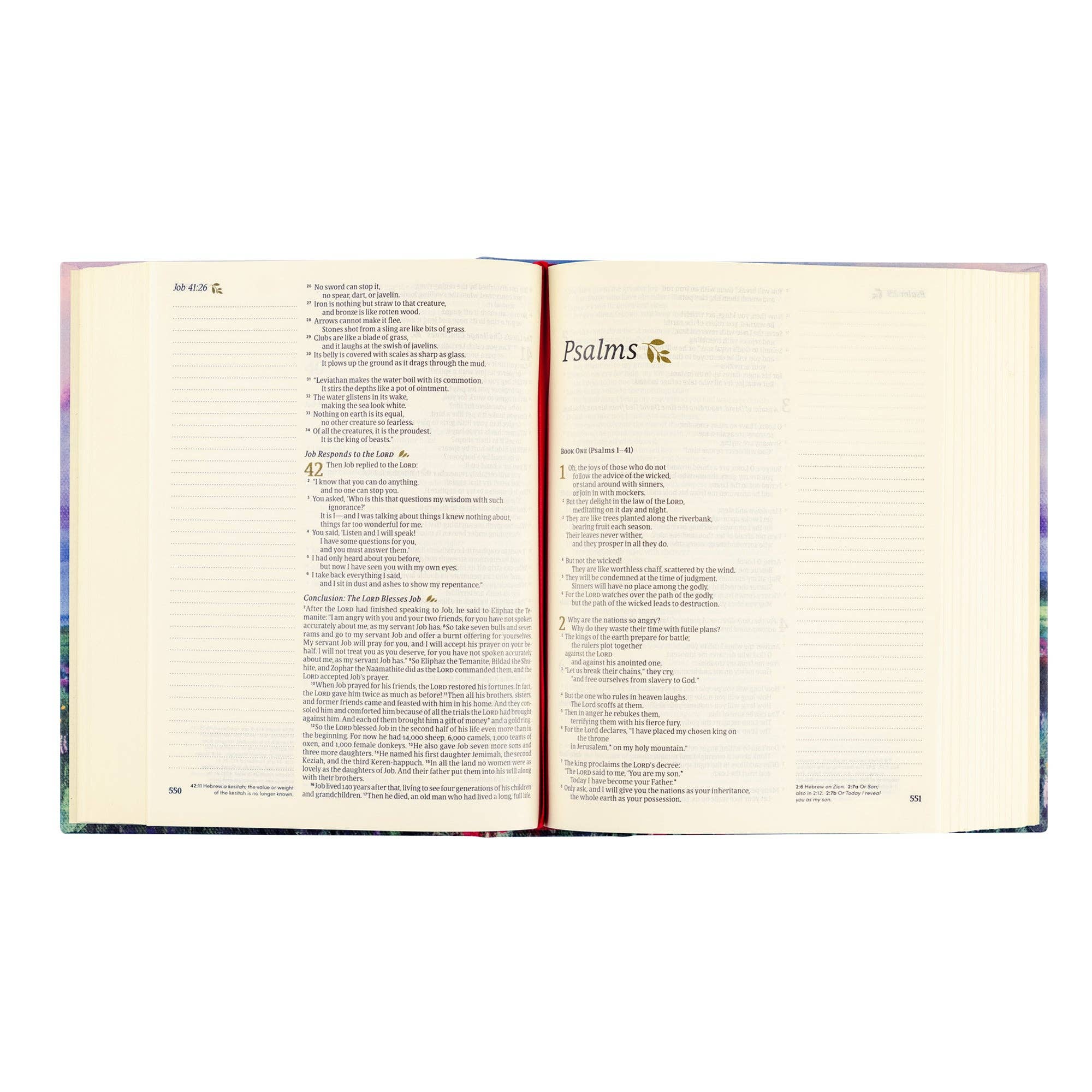Hosanna Revival NLT Notetaking Bible: Cana Theme