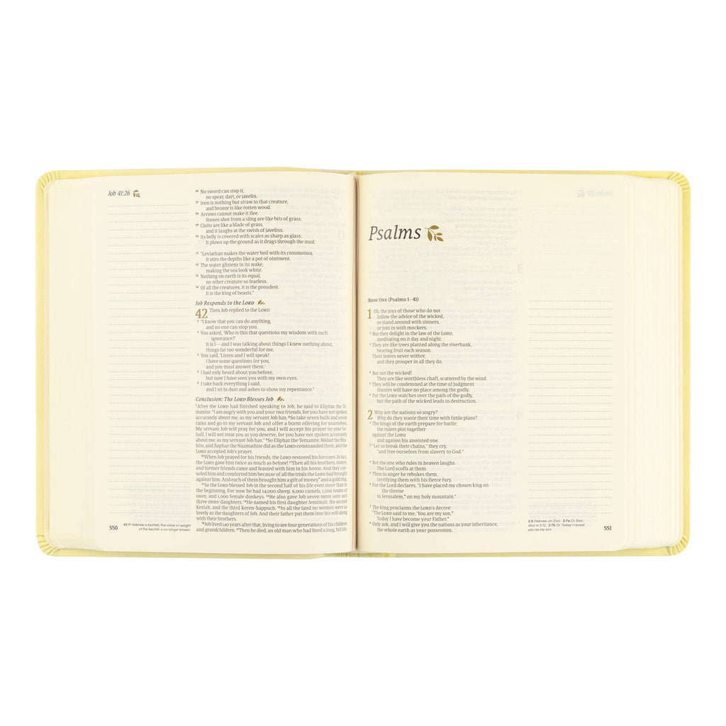 Hosanna Revival NLT Notetaking Bible: Belfast Theme