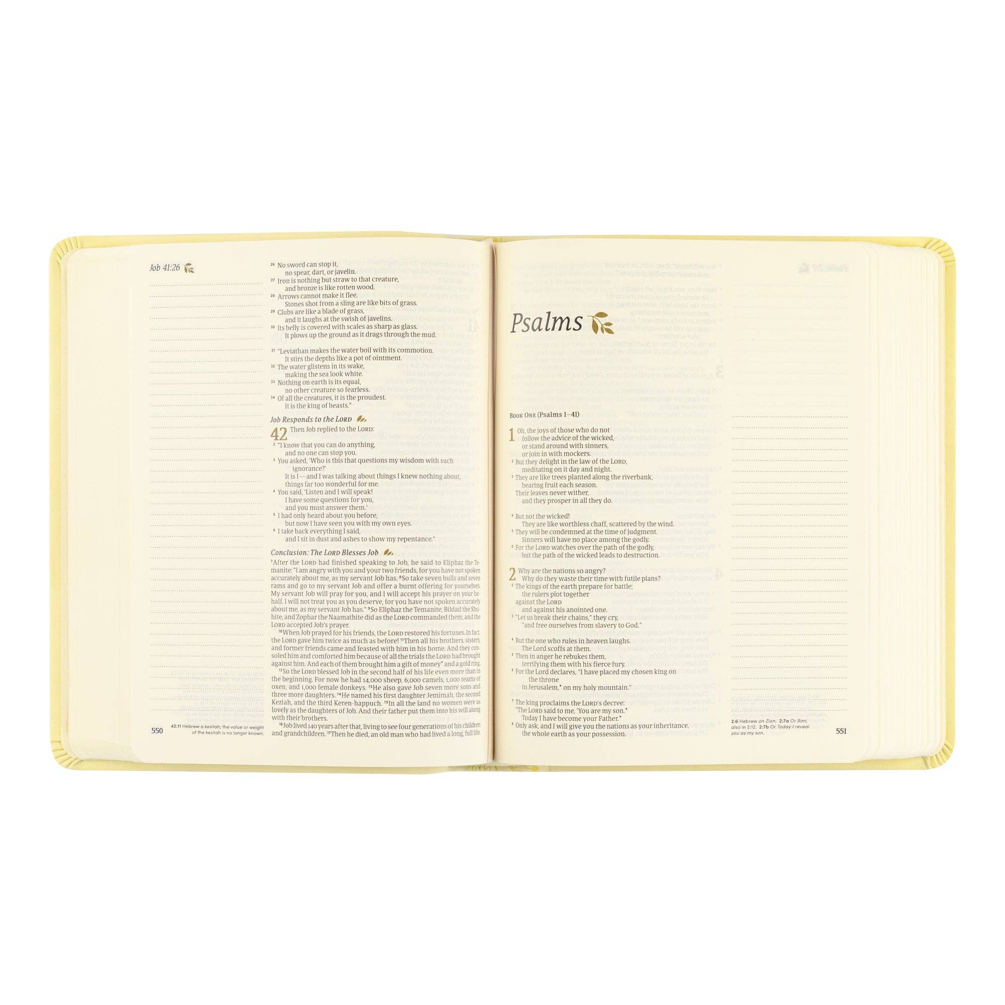 Hosanna Revival NLT Notetaking Bible: Belfast Theme